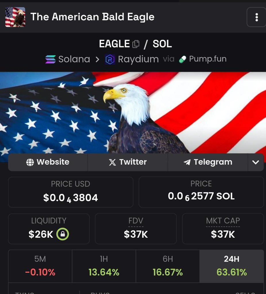 AMERICAN BALD EAGLE 🦅🇺🇸 tweet media