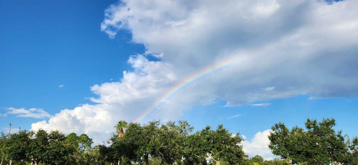 A great start to the day! #BrandonFL #FLwx <a href="/bn9weather/">Spectrum Bay News 9 Weather</a> <a href="/mcclureWX/">Brian McClure</a> <a href="/Mike_Clay/">Mike Clay</a>