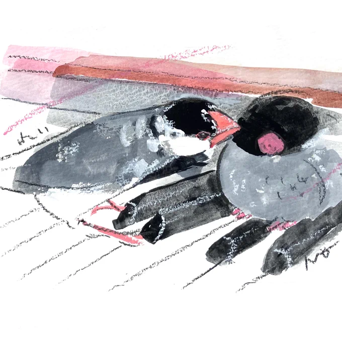 #小鳥ガーデン オーダーイラスト キーボードの上でお気に入りのぬいぐるみを愛でる桜文鳥さんです