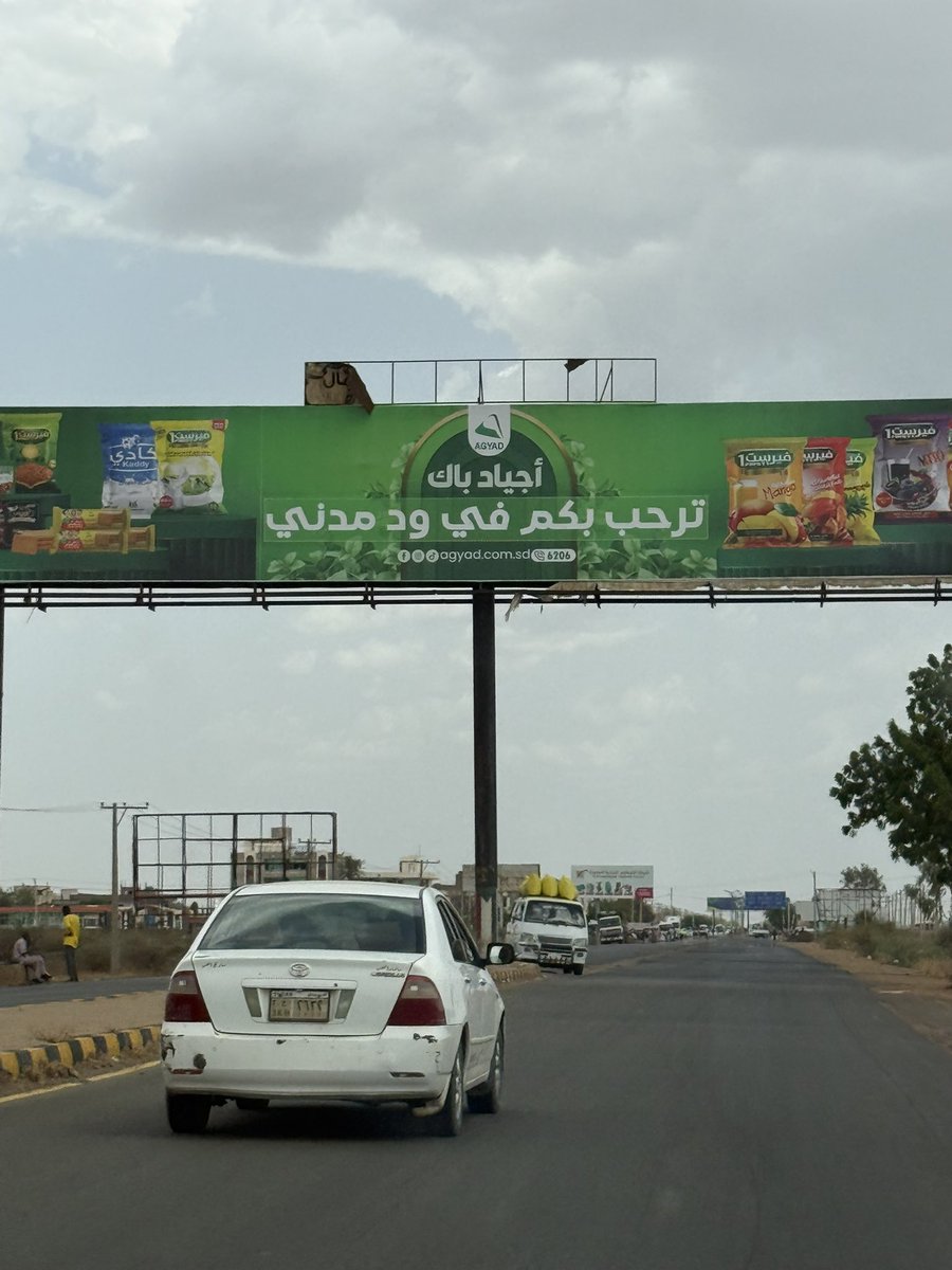 monzer mohamed tweet media