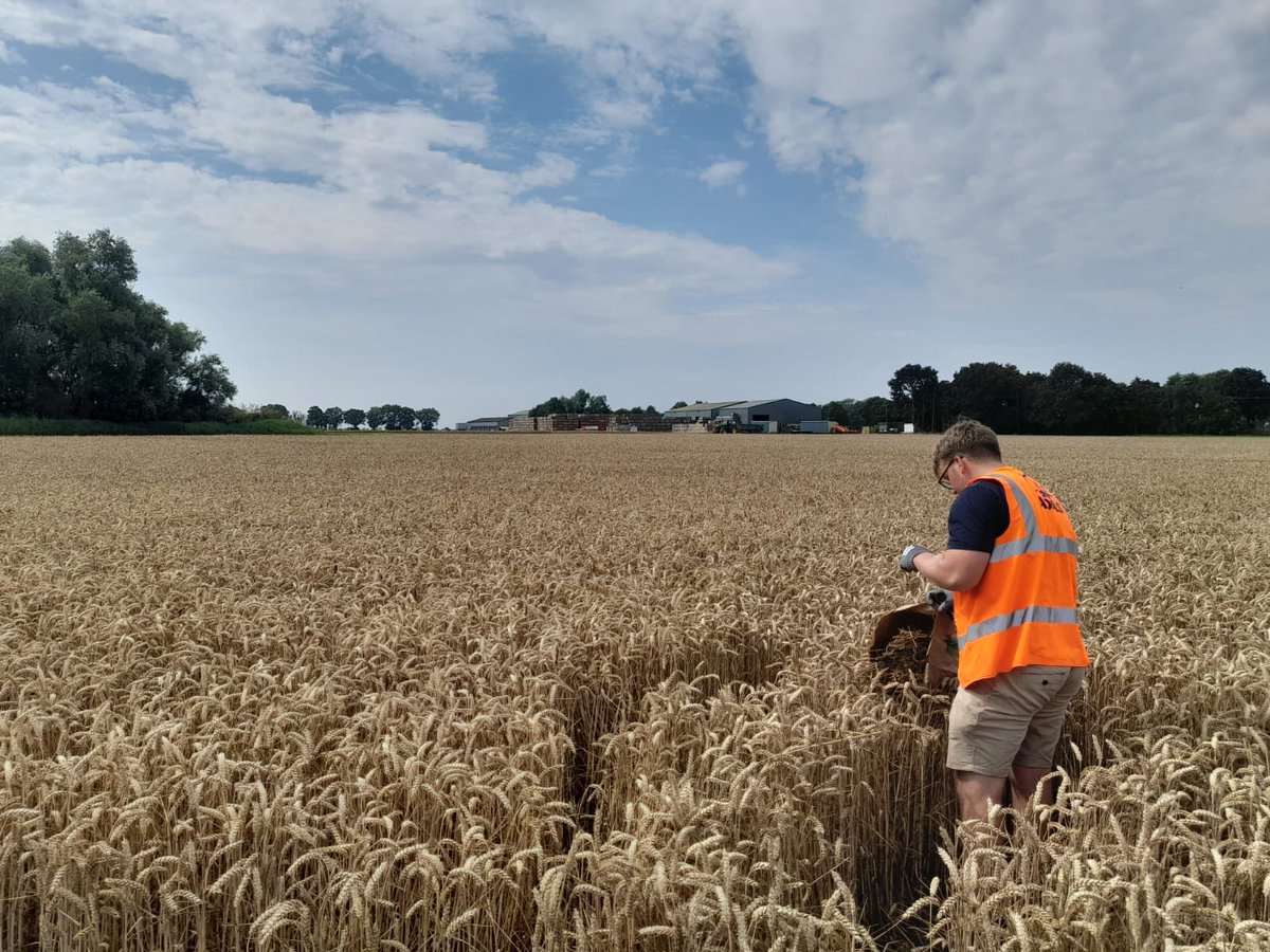 Lizzie Sagoo tweet media