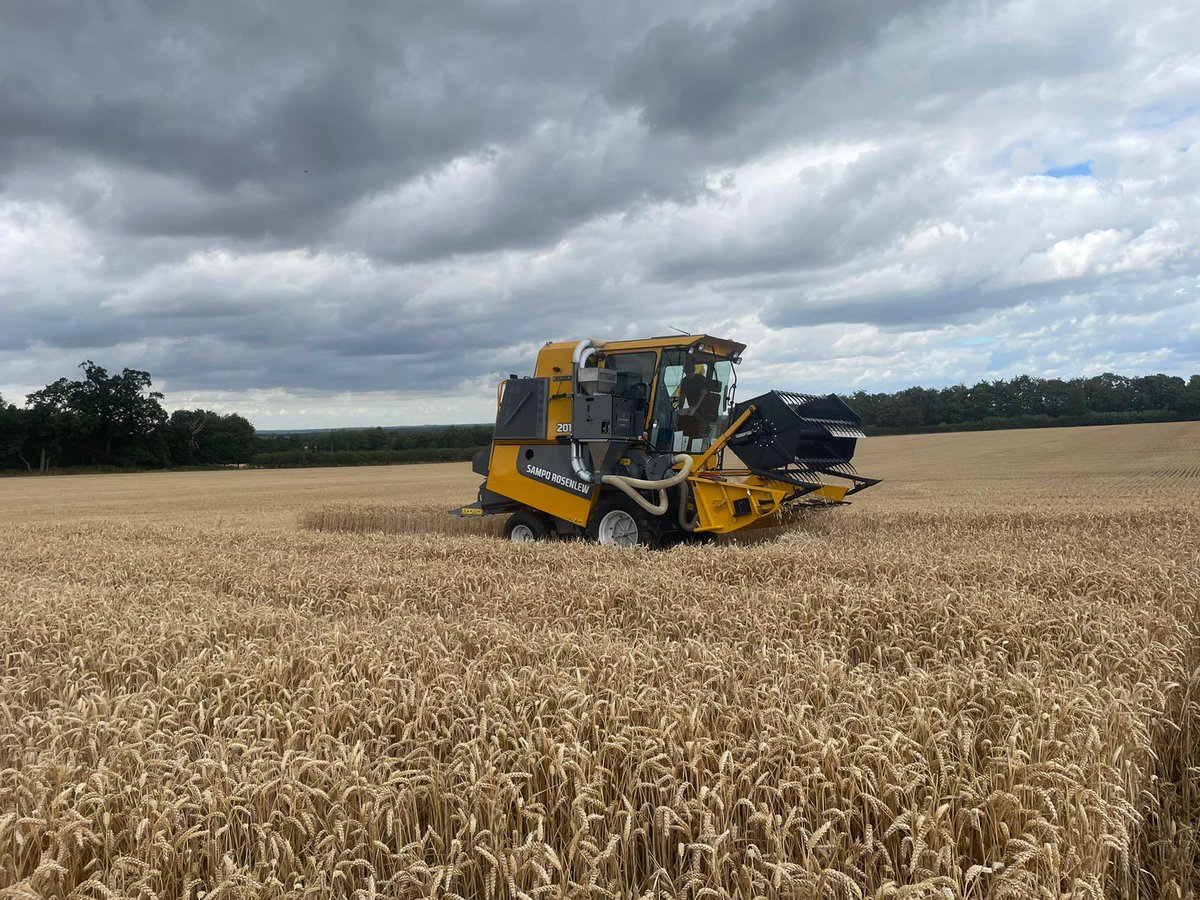 Lizzie Sagoo tweet media