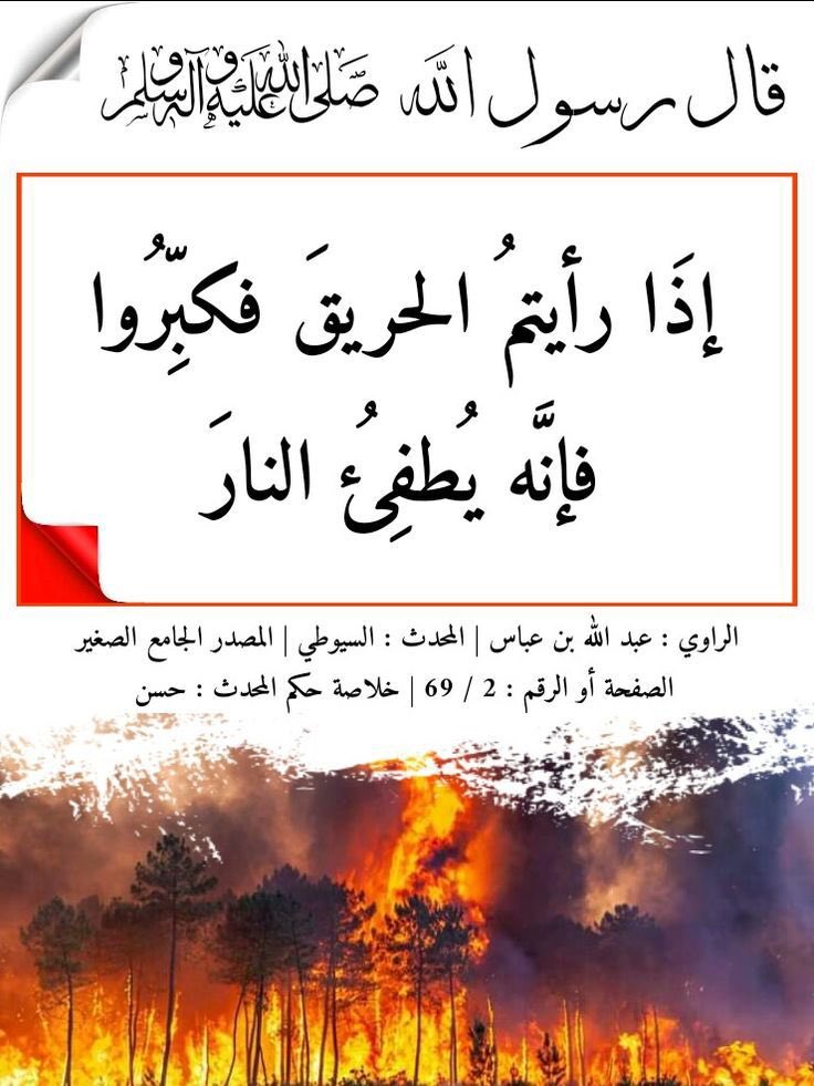 menwerAlkhalidi's tweet photo. @activist6681 https://t.co/GcsCXm3Hqw