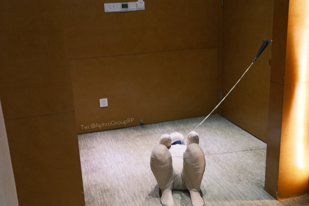 看门小狗🐩
不过我们大部分的场景，“看门”这个实际需求并不存在，毕竟还不是“社区线下大聚会，门口安排两只迎宾犬”这种场景情况

不过显而易见，当我们坐在沙发上刷着手机和讯息，此时你时不时瞥一眼门口的她，安安静静等着你再次与她玩耍，等下着牵引、震动棒的挑逗。
