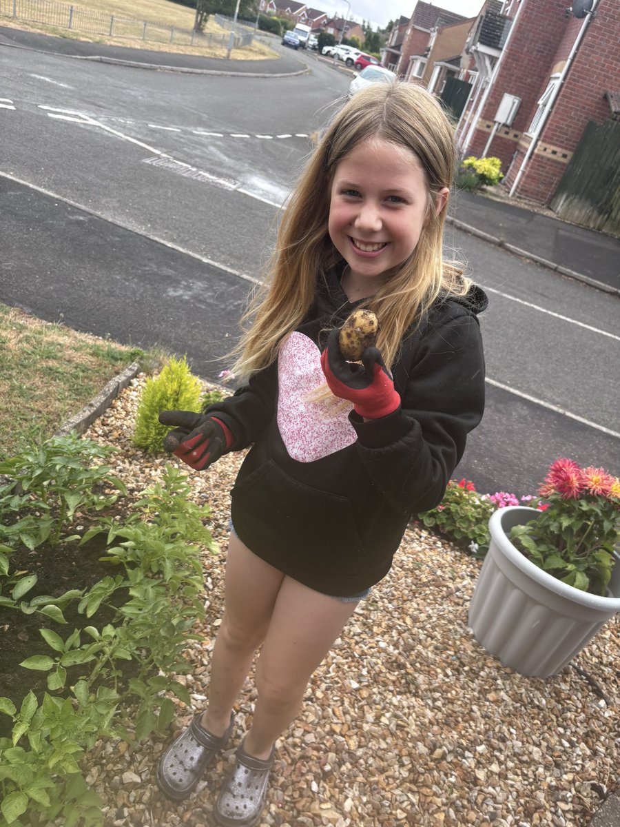 MichelleDenove1's tweet photo. Digging up potatoes for Sunday Lunch ❤️🥰😍 https://t.co/7NuGPUGNMK