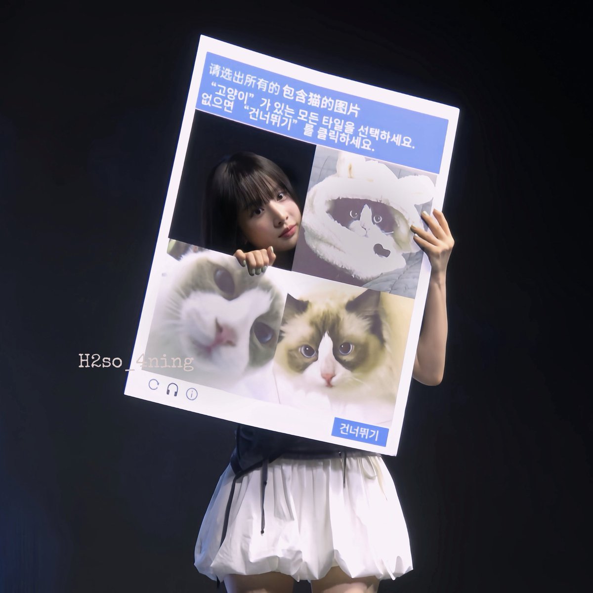 1syola's tweet photo. 250705 SH
넘 귀여웡(>﹏<)
보고싶어요ㅠㅠ

#seola #설아 https://t.co/jxKbjLeRJA