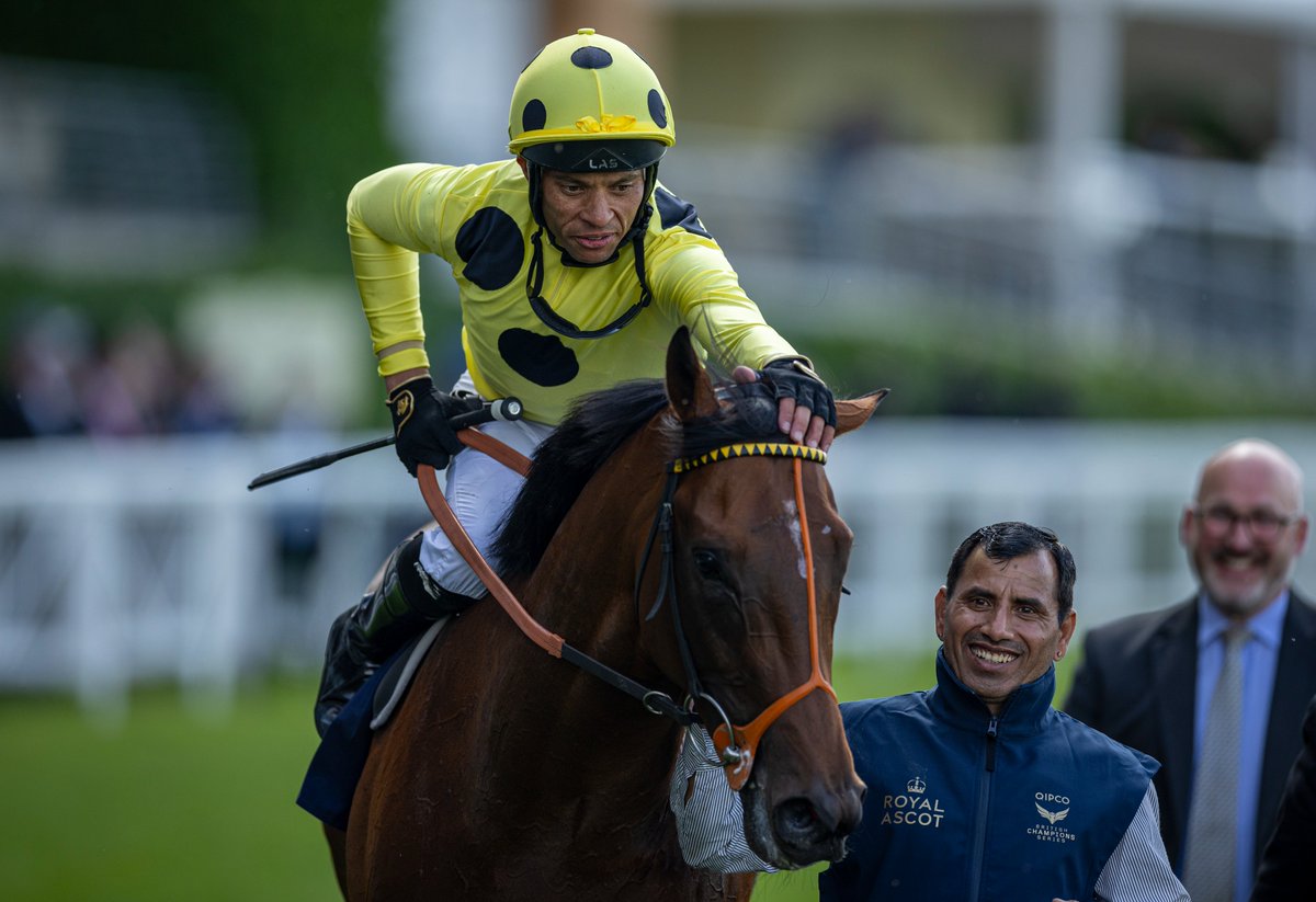 Richard Hannon on Rosallion:

🗣️ "I'm still not over the Queen Anne". He was in front before the line and after the line at Ascot, but it was a good race. He showed he'd improved from the Lockinge and in terms of his performance you've got to be delighted, but it's never nice