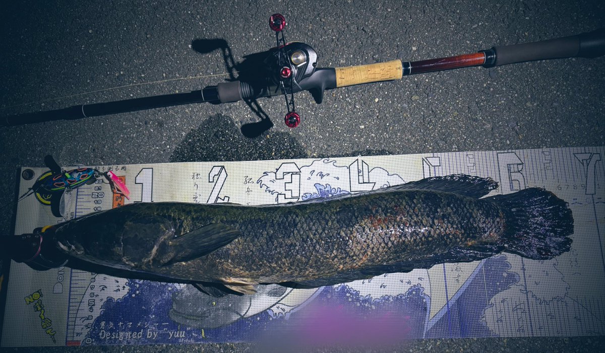 ひさびさに！
重かった！