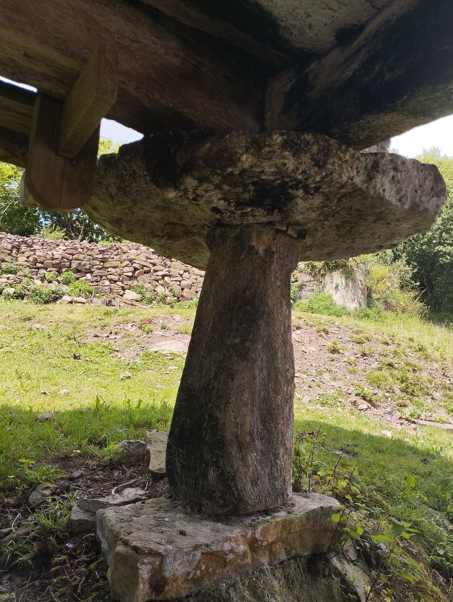 Teresa_D_S's tweet image. Hai bonos llibros y documentales sobre horros, de Villaviciosa hai hasta una guía de Balbín perbona, pero nada d'ello fai xusticia a la realidá. Nada ye comparable a velos insitu, y menos si te los enseña Rebeca, de la Fundación Cardín.