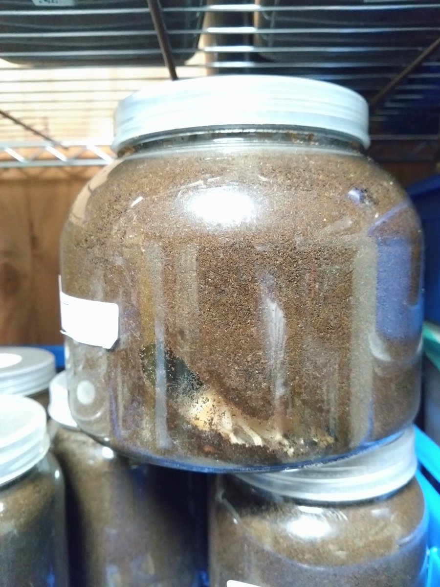 でかボトルでメス飼育してるアホいる？🤣