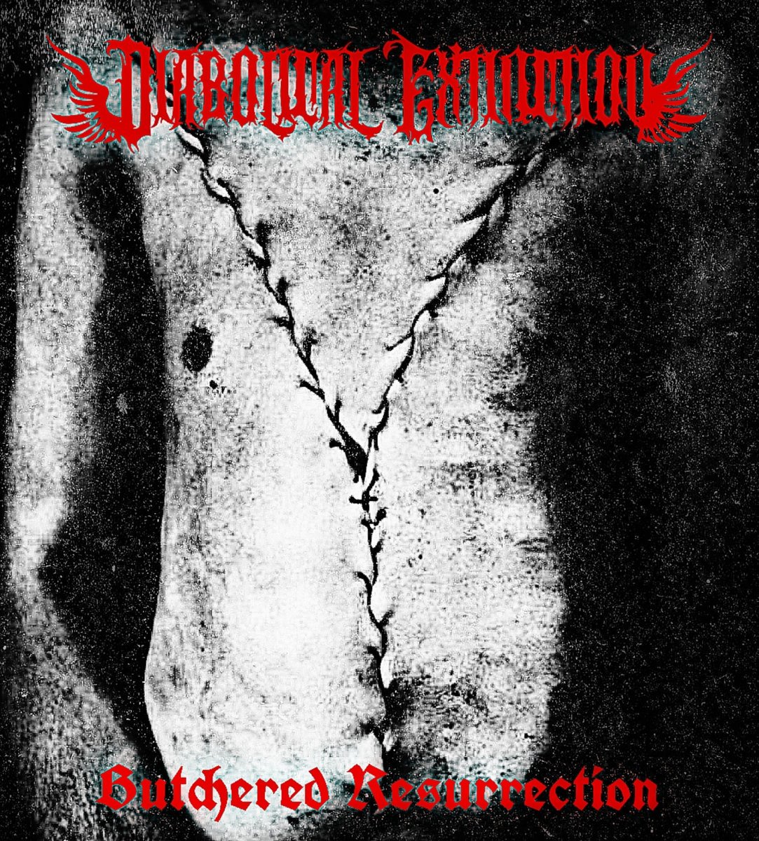 DeathDoomed's tweet photo. Diabolical Extinction
Butchered Resurrection
single
#blackmetal #deathmetal #blackdeath #indianblackmetal #blacknoise #noise https://t.co/7Ej5m67KwP