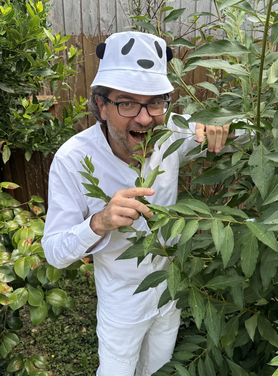 Olivier Dauvers tweet media