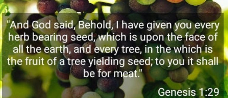 In the 17th and 18th centuries, lobster was abundant in coastal areas and often fed to prisoners, indentured servants, and slaves. It was also used as fertilizer and fish bait. 🙀Will Knowledge change your mindset.🤨Think before you celebrate Independence Day and black history.