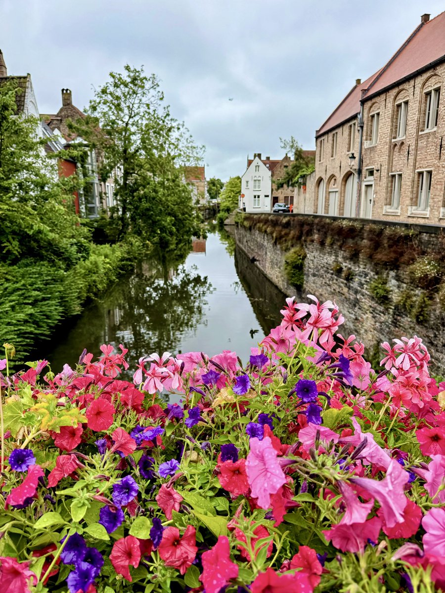 Belgium
Brugge