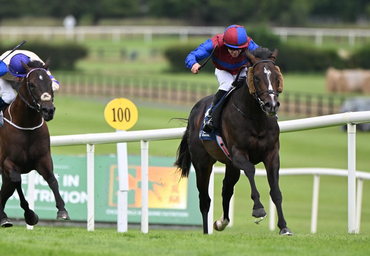 Sioux Nation Colt Draws Clear To Maiden Victory.
A change in tactics saw Neolithic (2c Sioux Nation – Starlite Sienna, by Elusive Pimpernel) get off the... bit.ly/4lfD9y3