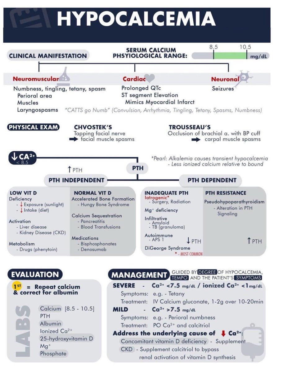 Hypocalcemia - Diagnosis and Management.

*Supplement vitamin D for deficiency and calcitriol for CKD to bypass renal activation of vitamin D synthesis.

runthelistpodcast.com