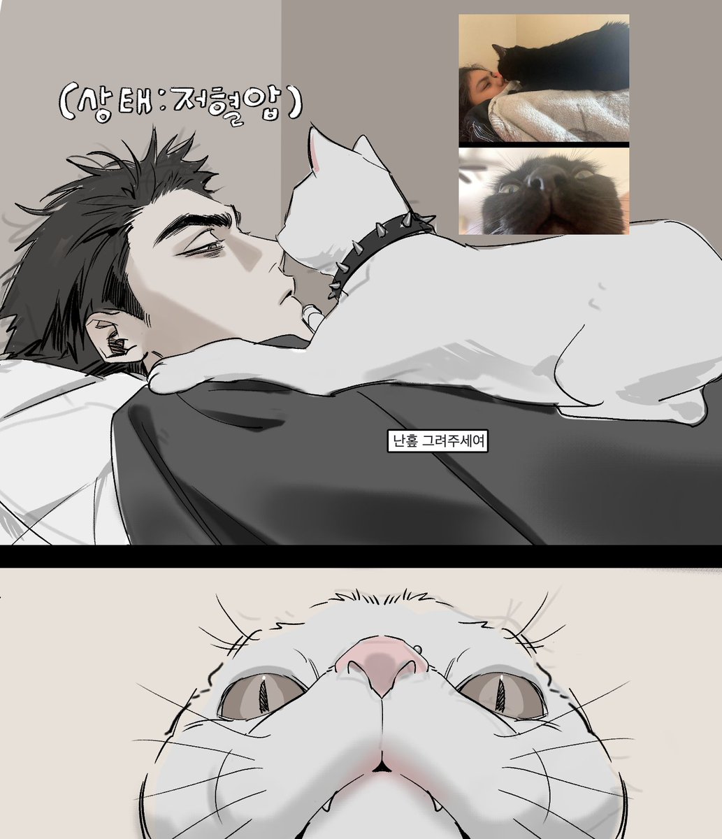 사회숙제♥ (@fovopobo) on Twitter photo 