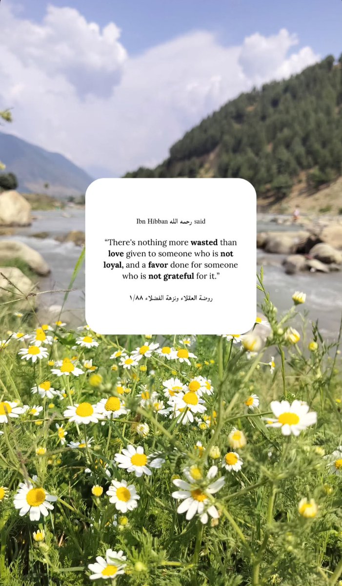 ukht_lima's tweet photo. 🌼 https://t.co/tOlGGMsBwY