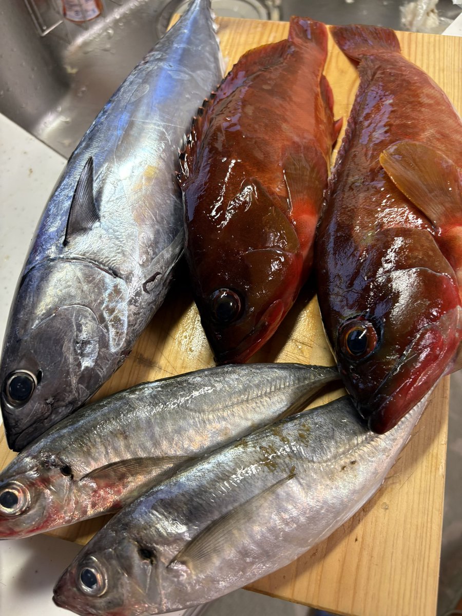 休みが過ぎるのは早い😆
鵜殿沖のアジも美味かった〜😋