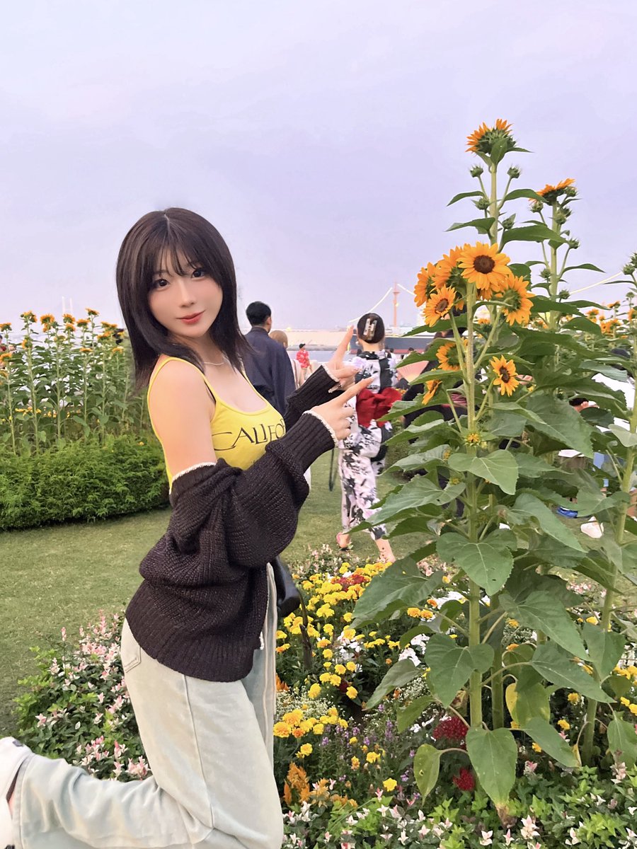 🍋🌻