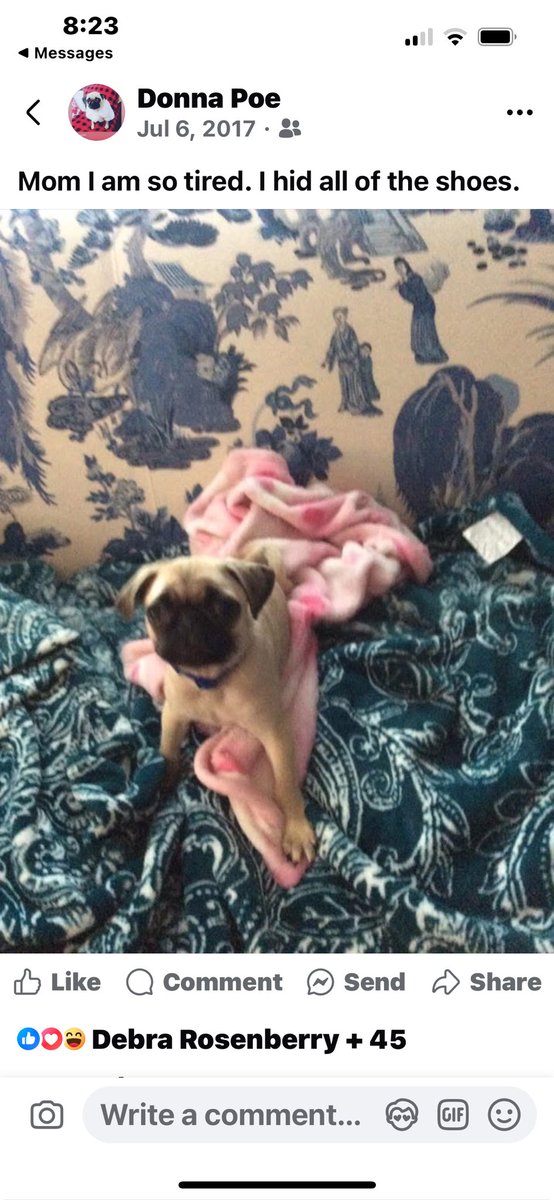 Mom had this picture of me when I was a baby. Mom says I am flipping adorable.