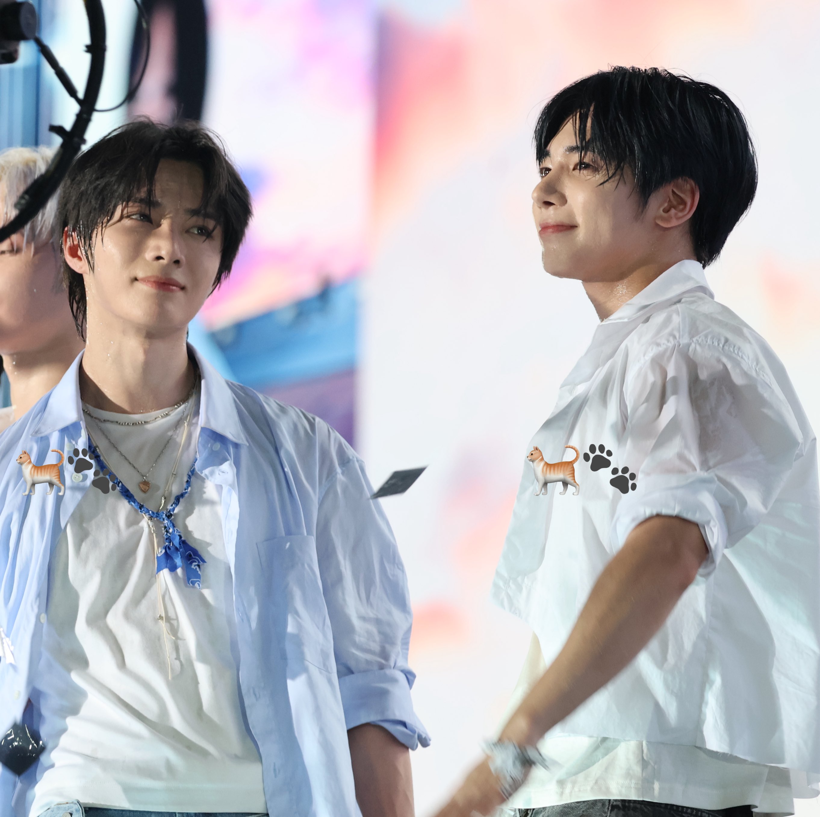 Kaorun.MOA🦥🐰🦊🧸🐿🐧 on X: 