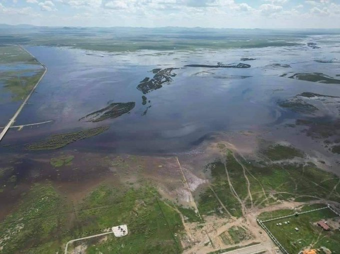 Хэрлэн гол үерлээд ийм их устай цэлэлзэж байгаа. Говь руу ус татах төсөл хэрэгжсэн бол ёстой Номин цэнхэр говь болох байж.  Балагтай Баварга&amp; хөгжлийн төсөл гацаагч хуурамч эх орончдын балаг😰