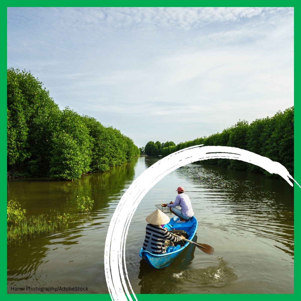 Nature-based solutions, like #Vietnam's mangrove belts, manage disaster risks while supporting ecotourism and providing benefits for the communities. Learn more about this and other examples of investing in resilience -- in this blog: wrld.bg/G9rF50WliLB
<a href="/GFDRR/">GFDRR</a>