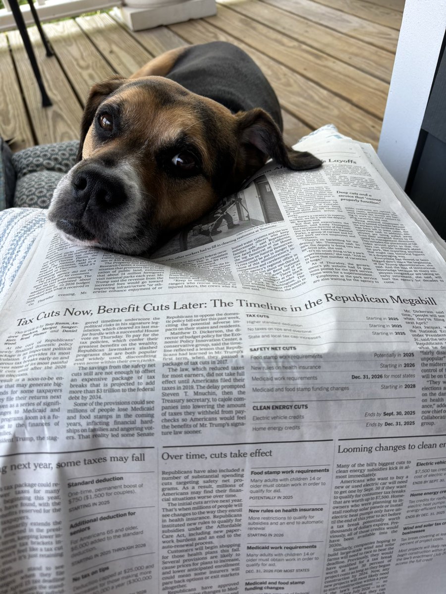 michaelrothnj's tweet image. Remy just finished reading the Republican megabill.
He’s now questioning the state of American democracy and whether he should run for office.