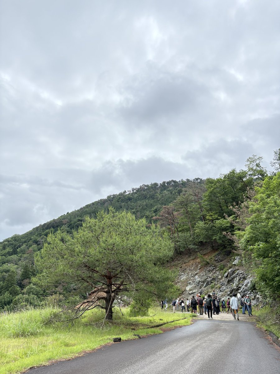 EllenCYYang's tweet photo. International conference of #serpentine #ecosystem Just finished in last month from 12th to 17th in Kyoto 🇯🇵 .
Happy reunion with old friends from last conference in Nancy!
New friends also enjoyed together so much.
Looking forward to seeing u all next time in Serbia 🇷🇸. https://t.co/J0gHOkdSiA