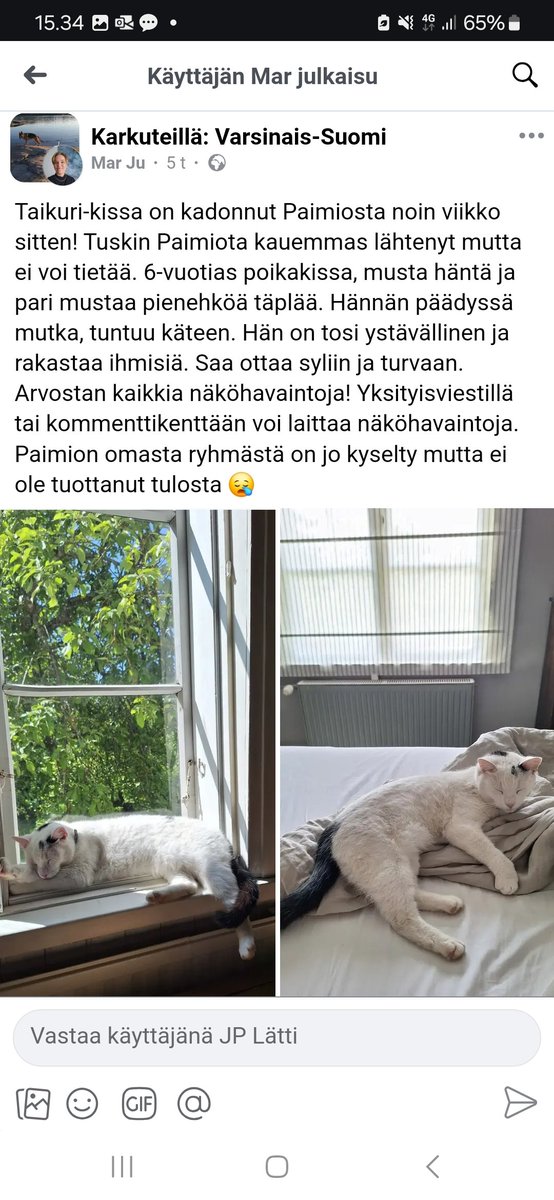 JP_Latti's tweet photo. Kissa kateissa #Paimio'ssa 🥺❤️ https://t.co/kb5FClhpOk