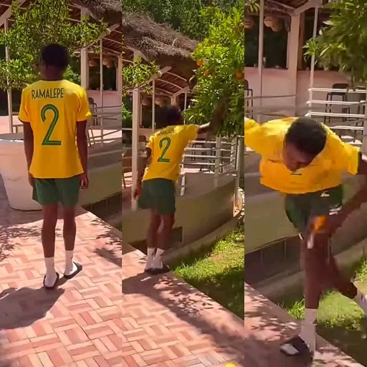 PSLlogTable's tweet photo. Banyana Banyana captain Ramalepe is trending after she was spotted suspiciously snatching fruit from a tree in Morocco. 😂

Step 1 - check Coast
Step 2 - snatch
Step 3 - dissappear https://t.co/NiwypCJAz5