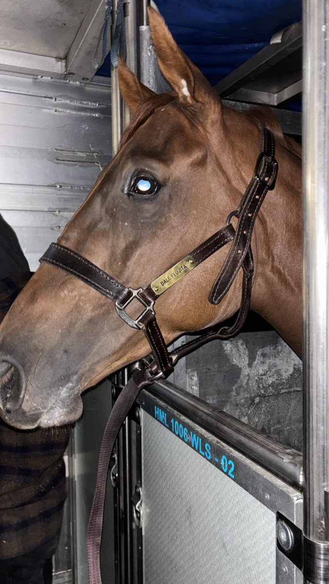 Dale Flojita de las sedas El Trébol ganadora G1 en Maroñas en viaje a 🇺🇸 para proseguir su campaña.
Éxitos para la Sloane Avenue que será entrenada por el 🇧🇷 Paulo Lobo en <a href="/keeneland/">Keeneland</a> Se une a Suable y Devassa, 🐎 🇺🇾 for export <a href="/HipodromoUY/">Hipódromo de Maroñas</a> <a href="/JCFeijoo/">Juan Carlos Feijoó González</a> <a href="/agentes305/">Agentes305</a>