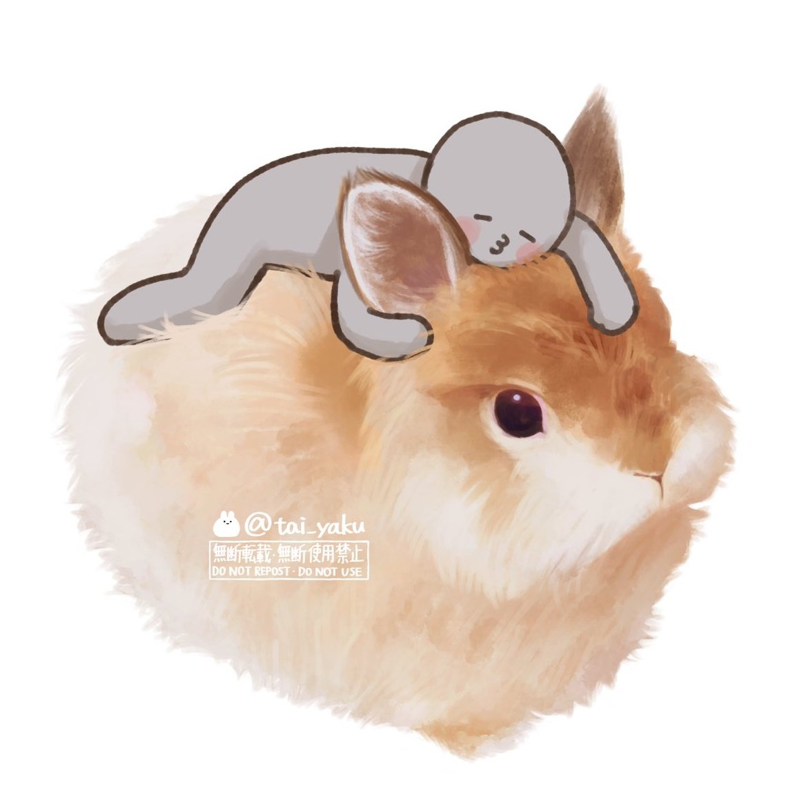 お毛玉様🐇 tweet media