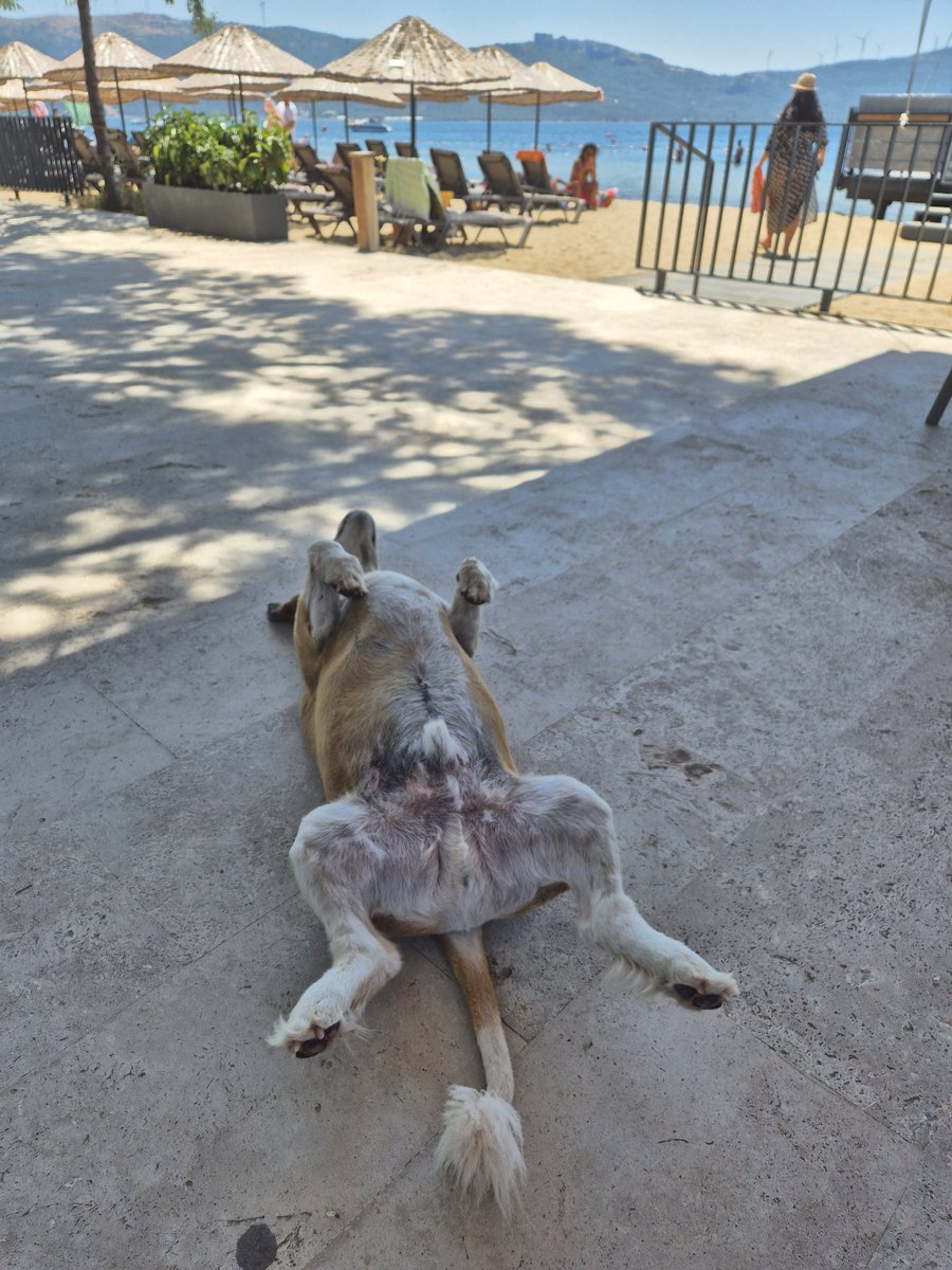 Pazar gününden şu şekil max verim alacaksın