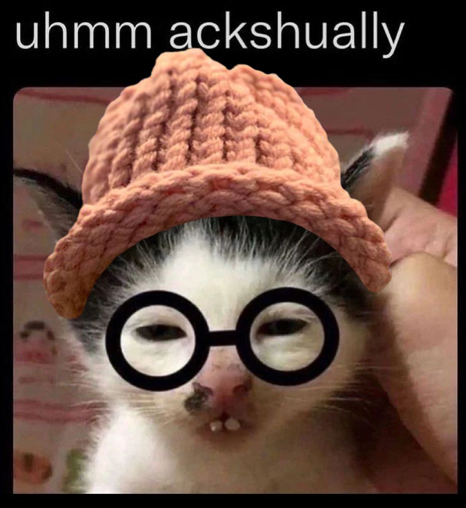 Professor purrspective 😸🧢 $cwif