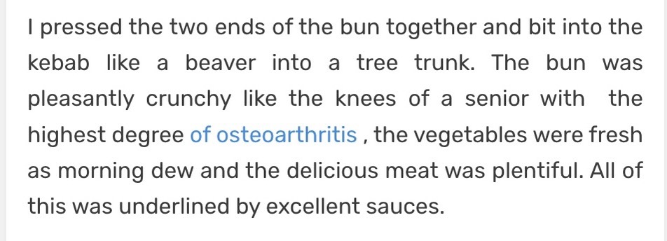 "The bun was pleasantly crunchy like the knees of a senior with  the highest degree of osteoarthritis." Highlights from a review of Ahura Kebab in Karlovy Vary