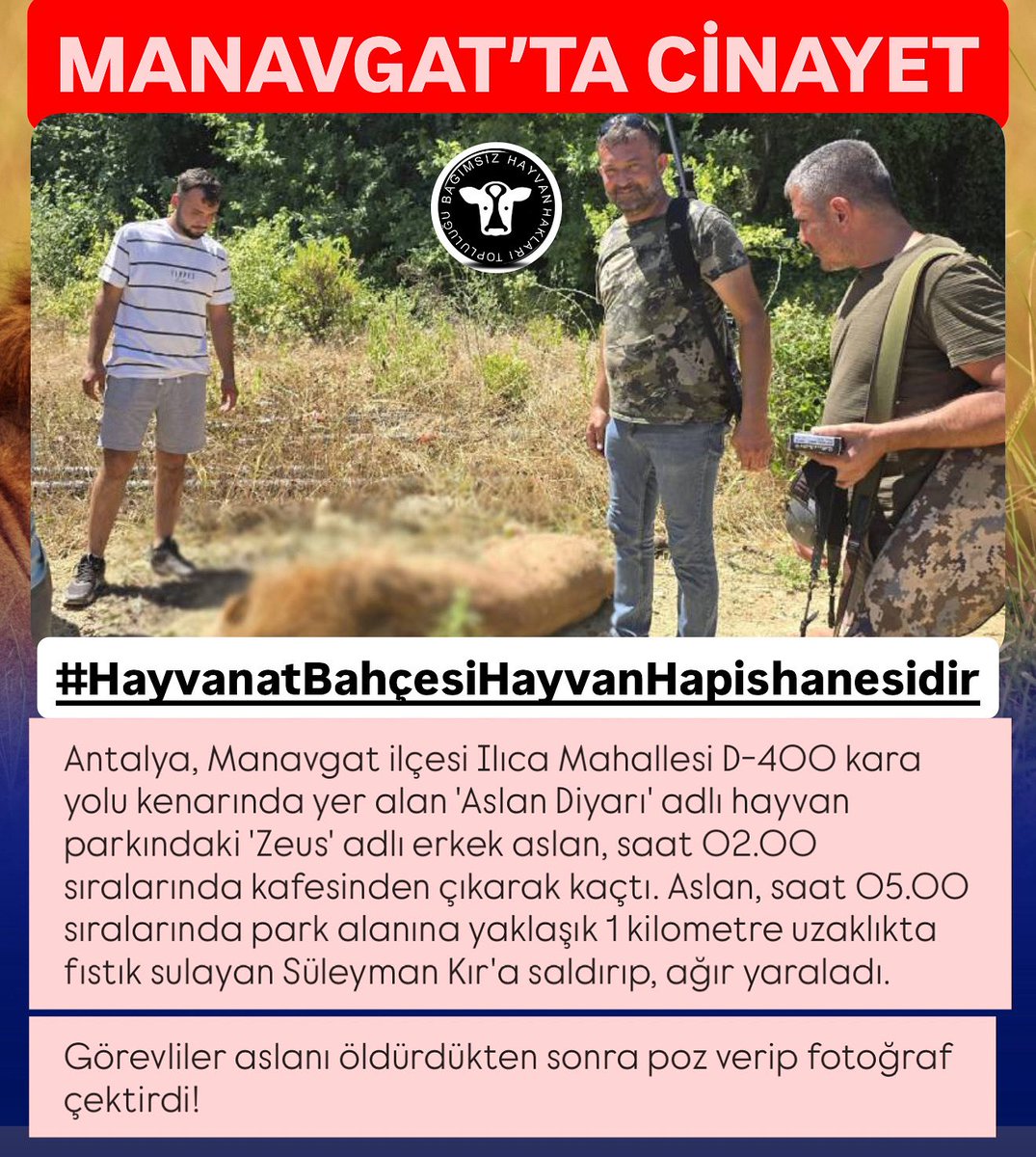 bhhtoplulugu's tweet photo. Esir ettikleri aslan kurtulmak için kaçınca bir de katledip poz veriyorlar! 

21. yüzyılda hayvanları dört duvar arasına hapseden ve onları ticaret malzemesi yapan insan en zalim canlıdır! 

#hayvanatbahçelerikapatılsın 
@milliparklar @TCTarim @ibrahimyumakli @antalyadkmp https://t.co/rEmcPiDVC8