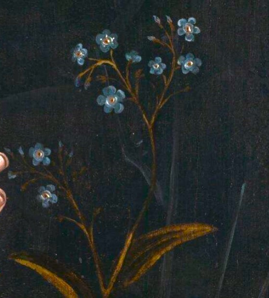 Günümüzden 555 yıl önce yapıldığı tahmin edilen bu muhteşem tablonun sanatçısı bilinmiyor, kimin resmedildiği de bilinmiyor. 
Oysa hanımefendinin sol elinde unutmabeni çiçeği var; yine de unutulmuş...
[nationalgallery.org.uk/paintings/sout…]