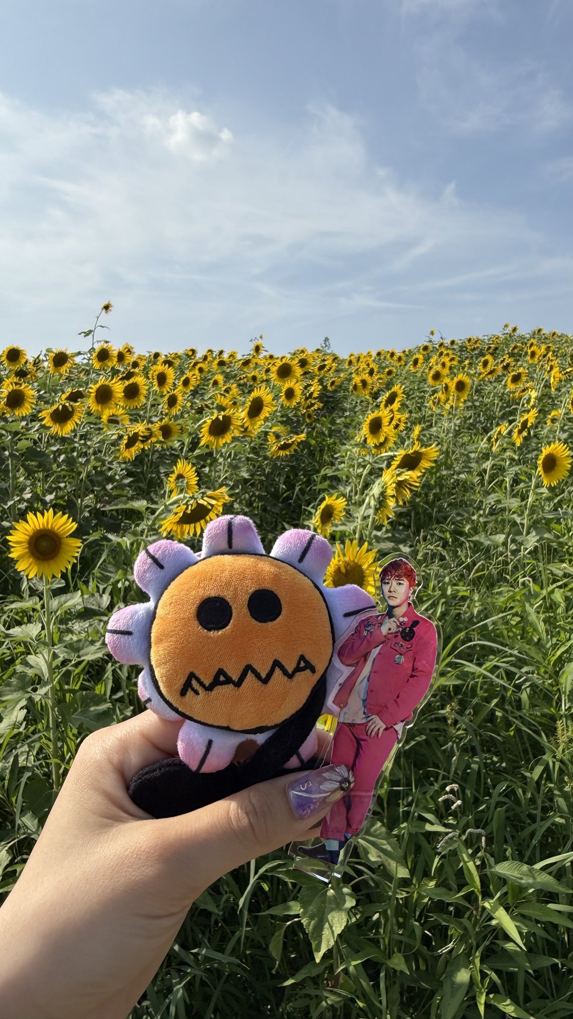 ひまわりの花かご ♡ 楽天市場】ひまわり 造花 ひまわりのかごアレンジ シルク