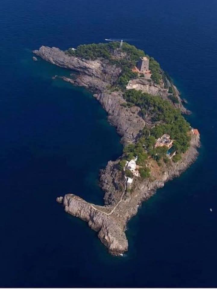 𝐌𝐚𝐭𝐭 𝐏𝐢𝐧𝐧𝐞𝐫 tweet media