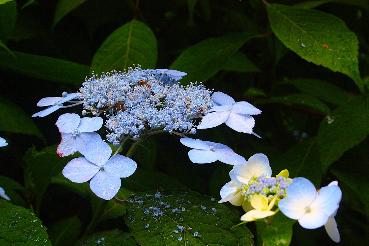 Chill day today, spent <a href="/PlasCadnant/">Plas Cadnant</a>