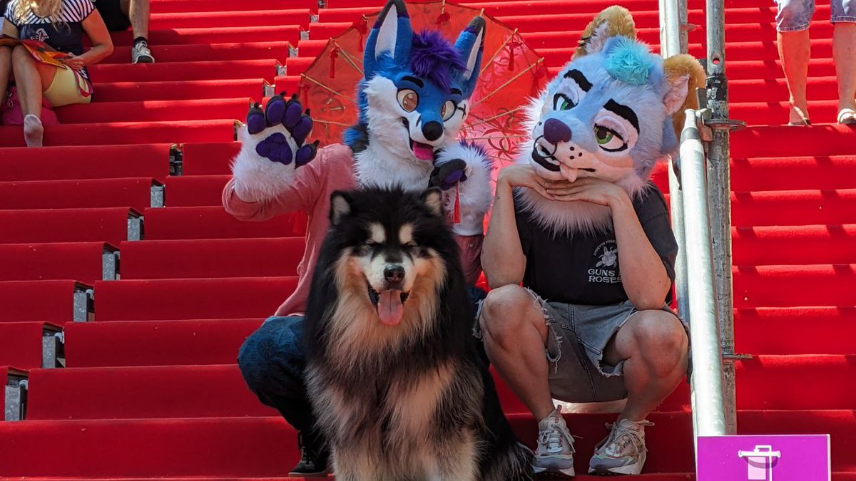 🌟Ami Bluefox 🦊🌟 tweet media