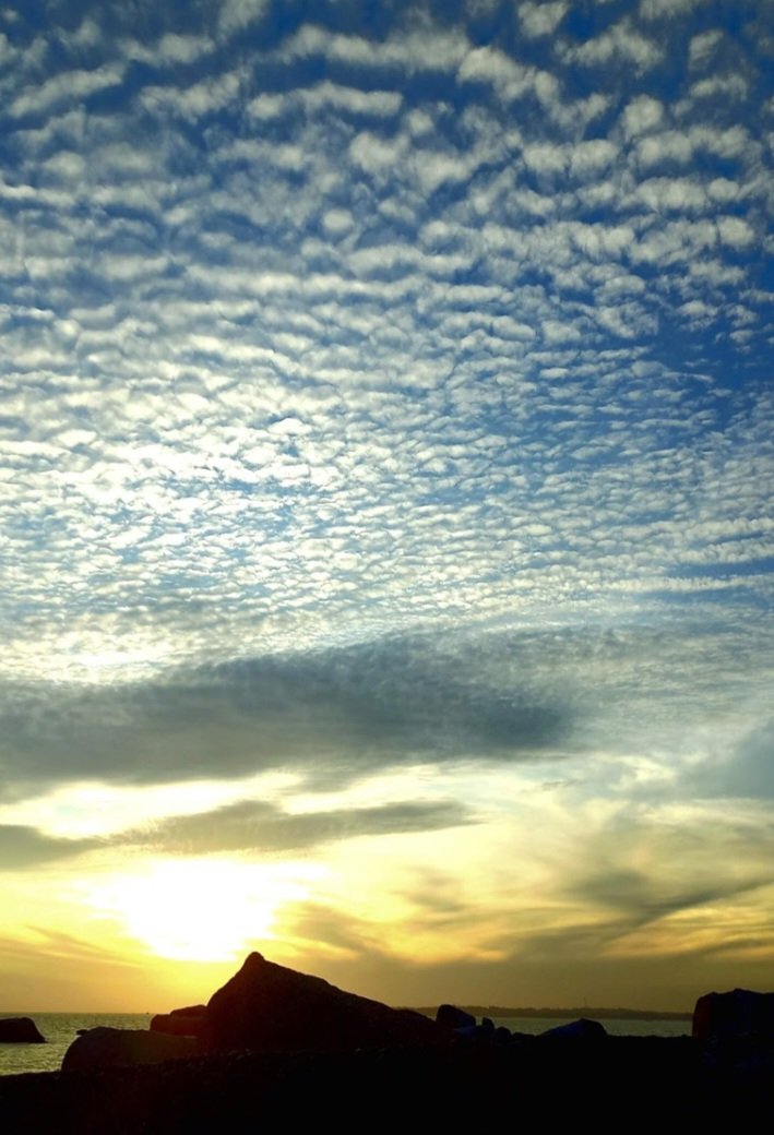 Rony Crisdianto (@ronycrisdianto) on Twitter photo Hello <a href="/eyemseyelent/">Eyemseyelent🔺</a> 👋😁
Cloud Parade
7/10 edition
5 $XTZ
objkt.com/tokens/KT1VcXm…
This photo wasn't edited or used AI. This photo was taken in the morning at around 5 am. The sun was about to rise and the clouds were forming like they were on parade. Hello <a href="/eyemseyelent/">Eyemseyelent🔺</a> 👋😁
Cloud Parade
7/10 edition
5 $XTZ
objkt.com/tokens/KT1VcXm…
This photo wasn't edited or used AI. This photo was taken in the morning at around 5 am. The sun was about to rise and the clouds were forming like they were on parade.