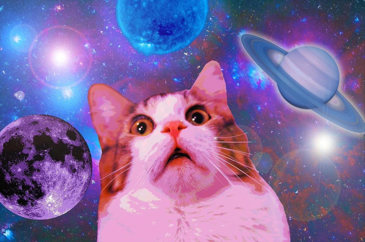 Meawy4376's tweet photo. My cat just applied to NASA.
He says Earthβs too mid and the litter box situation on Mars is better.
Catch him next week piloting a tuna-powered spaceship. ππ±π
#SpaceCat #CosmoKitty #GalacticPaws https://t.co/nmmovn7Sez