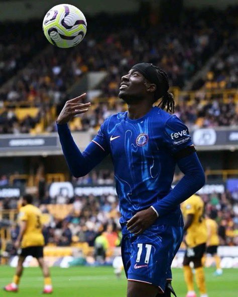 THE CHELSEA FORUM tweet media