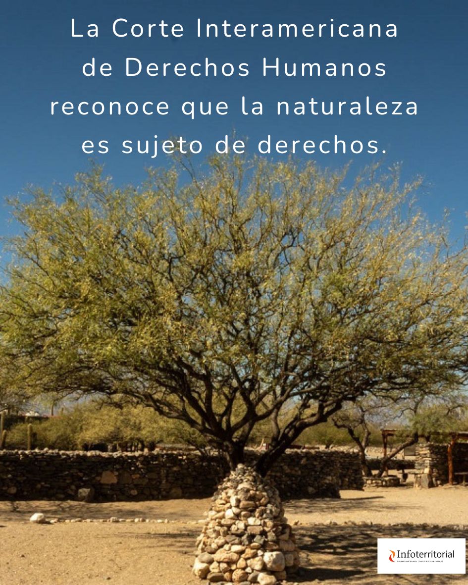 Infoterritorial's tweet image. 🌍 La #CorteIDH, en su OC 32/25 exige a los Estados proteger ecosistemas, garantizar participación indígena y actuar con enfoque interseccional.
infoterritorial.com.ar/la-corte-inter…
✍🏽 Silvina Ramírez
#JusticiaClimática #PueblosIndígenas
