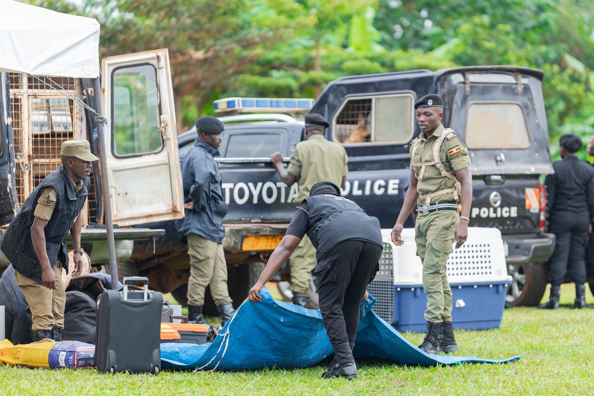 Yesterday, GOGA proudly partnered with various inspiring career professionals at the Gayaza Career Day to guide and empower the girls as they explore diverse career paths. A day of mentorship, motivation, and meaningful connections! 🌟👩🏽‍🎓💼 #GayazaCareerDay #MentorshipMatters