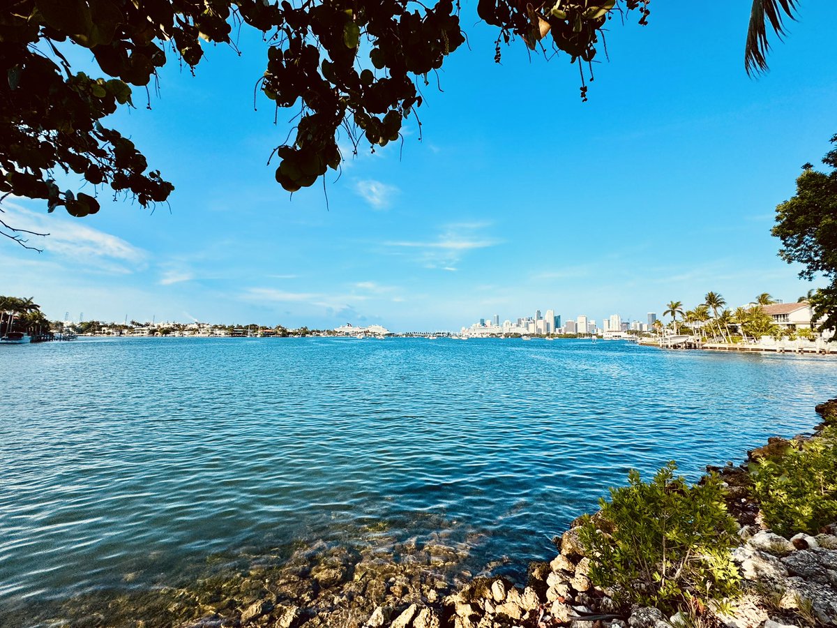 MacCoinBase's tweet image. Morning miles. Miami views.
The grind starts early — even on a Sunday.

See you Tuesday, @BrickellRunClub 🏃‍♂️🐒

#MacCoin #BrickellRunClub #CryptoRunner #MiamiViews