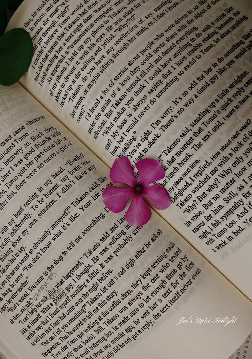 Jui_Twilight's tweet photo. “All these pictures are captured by me. There’s something magical about spending time with nature and books. It gives your mind peace that words can’t explain. In a world full of noise, sometimes the best feeling is quietly watching the sky, clicking those little moments🌿📚
#Jui https://t.co/tEbp3nDuQx